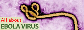All about Ebola Virus 