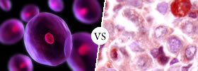 Cell vs Tissue