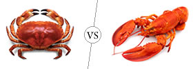 Crab vs Lobster