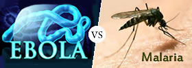 Ebola vs Malaria