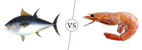 Fish vs Prawn