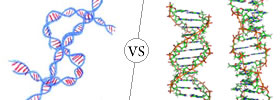 Genome vs DNA