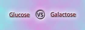 Glucose vs Galactose