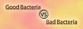 Good vs Bad Bacteria