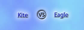 Kite vs Eagle Kite vs Eagle