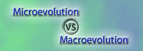 Microevolution vs Macroevolution