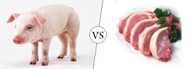 Pig vs Pork