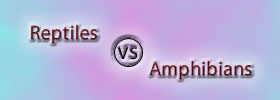 Reptiles vs Amphibians Reptiles vs Amphibians