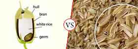 Rice Bran vs Rice Husk