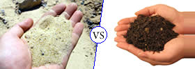 Sand vs Soil