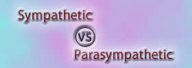 Sympathetic vs Parasympathetic