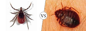 Ticks vs Bed bugs