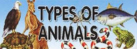 Different Types of Animals