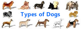 Different Types of Dogs