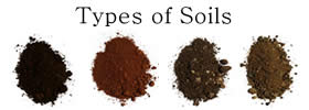 Different Types of Soils