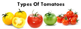Types of Tomatoes