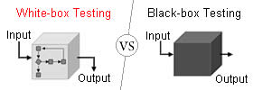 White-box vs Black-box Testing