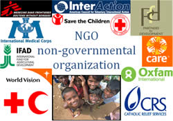 ngo npo difference between
