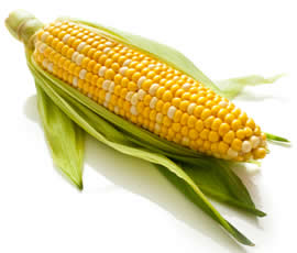 difference between corn and sweet corn