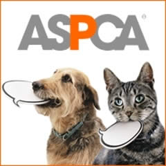 Difference between ASPCA and HSUS | ASPCA vs HSUS