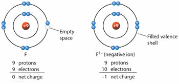 ion positive negative charge electrons ions atom anion difference between formation which cation vs anions fluorine charges example electron shell
