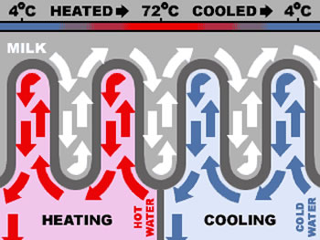 Milk Pasteurization Temperature Chart