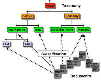 taxonomy ontology difference between vs different info