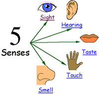 what is the relationship between sensation and perception