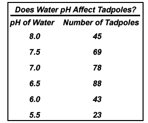 Chart Vs Table