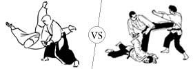 Aikido and Hapkido