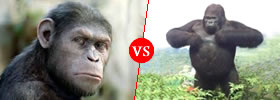 Ape vs Gorilla