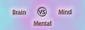 Brain vs Mind vs Mental