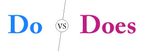 Do vs Does