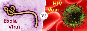 Ebola virus vs HIV virus