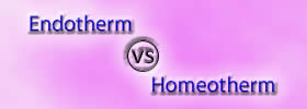 Endotherm vs Homeotherm