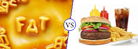 Fats vs Cholesterol