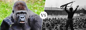 Gorilla vs Guerilla