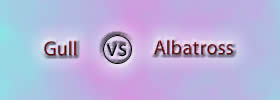 Gull vs Albatross Gull vs Albatross