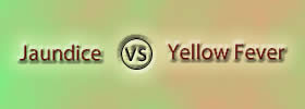 Jaundice vs Yellow Fever