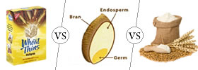 Multigrain vs Whole Grain vs Whole Wheat