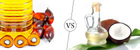 Palm Oil vs Coconut Oil
