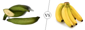Plantain vs Banana