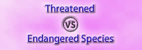 Threatened vs Endangered Species