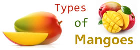 Different Types of Mangoes