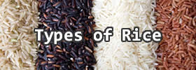 Different Types of Rice