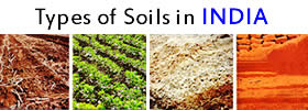 Different Types of Soils in India