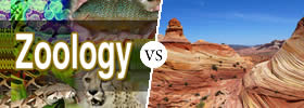 Zoology vs Geology
