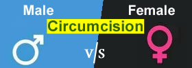 Male vs Female Circumcision 