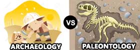 Archaeology vs Paleontology