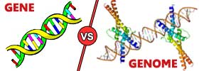 Gene vs Genome